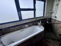 Sanctuary Green (D15), Condominium #628474181